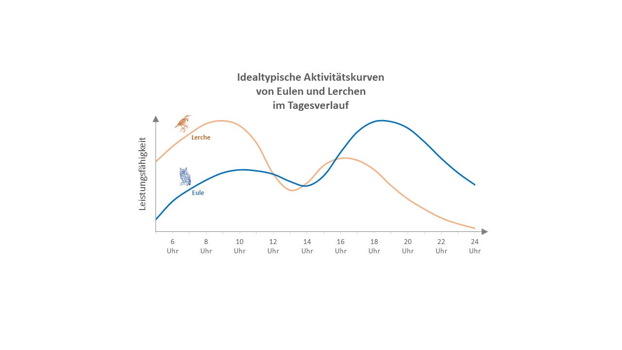 Leistungskurven Eule-Lerche